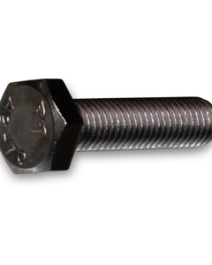 Hexagon head screw M 10x 40 SST DIN 933